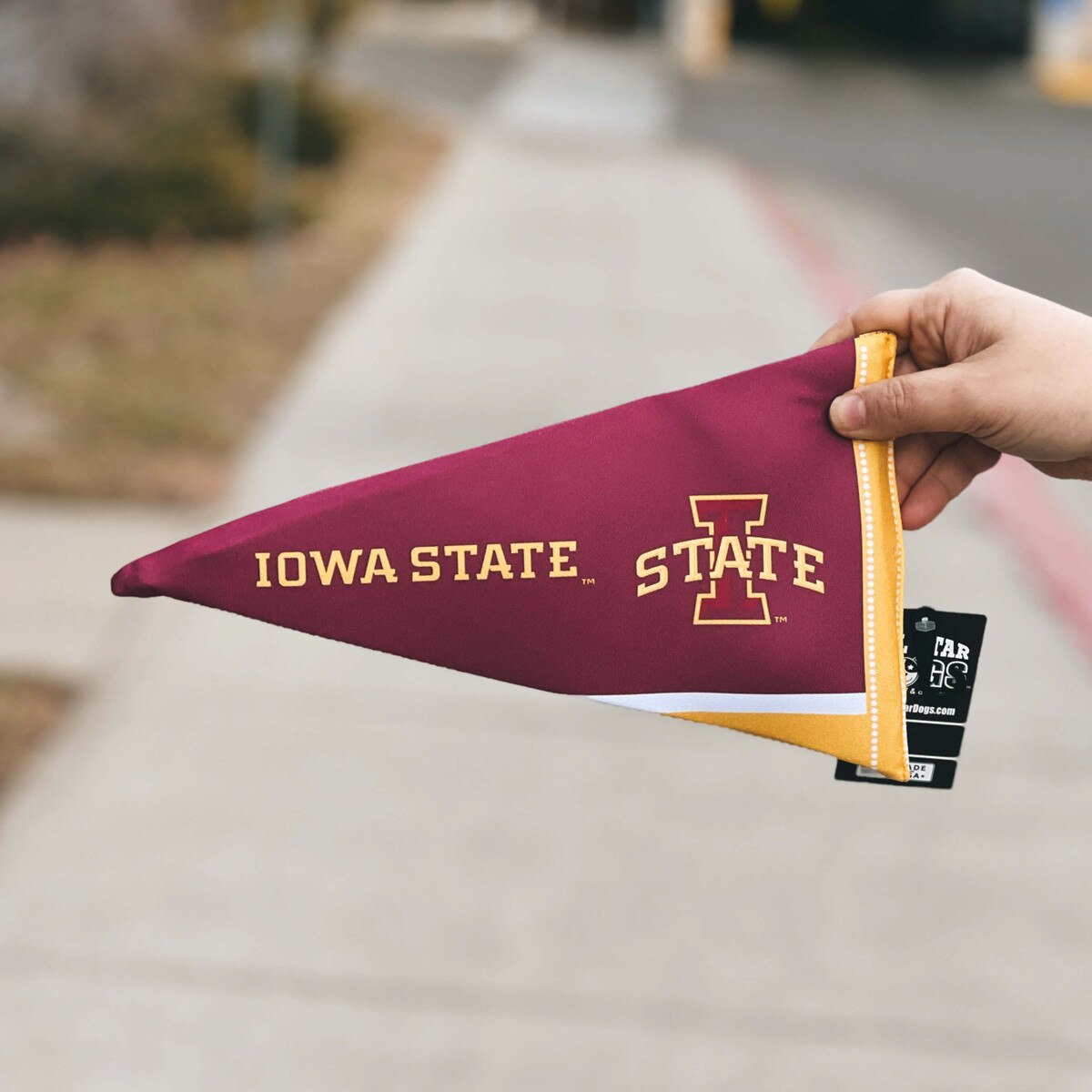 I-State Pennant Plush Squeaky Pet Toy